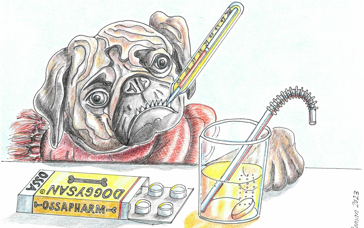 Zeichnung kranker Hund